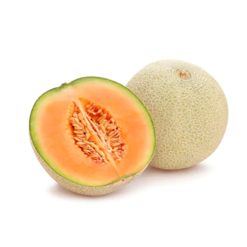 สารสกัดแคนตาลูป (Cantaloup Extract) | สารสกัดสมุนไพร สารสกัดจากธรรมชาติ วัตถุดิบผลิตเวชสำอาง