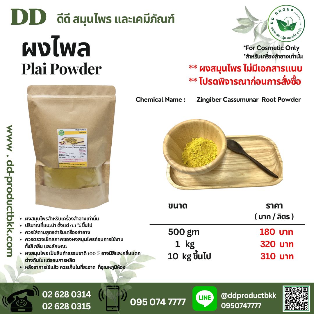 ผงไพล Plai Root Powder